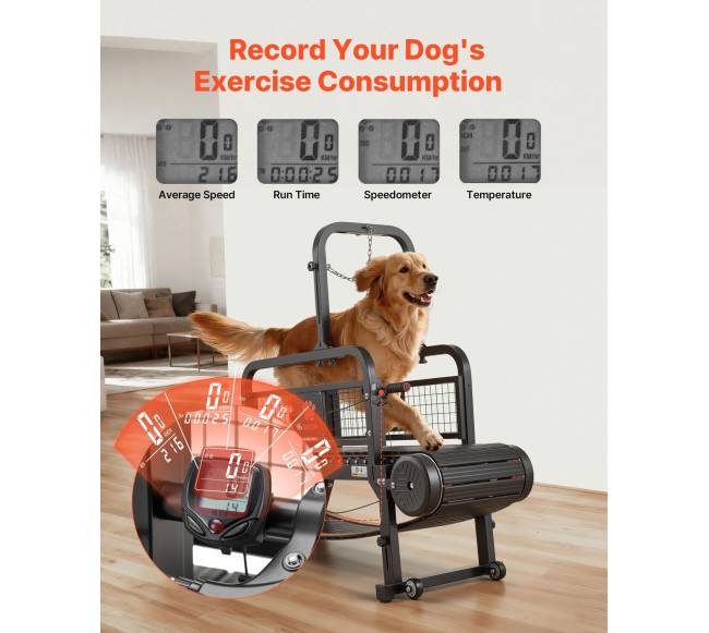 šunų bėgimo takelis dideliems ir vidutiniams šunims3