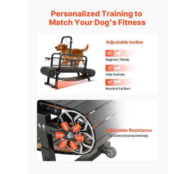 šunų bėgimo takelis dideliems ir vidutiniams šunims4