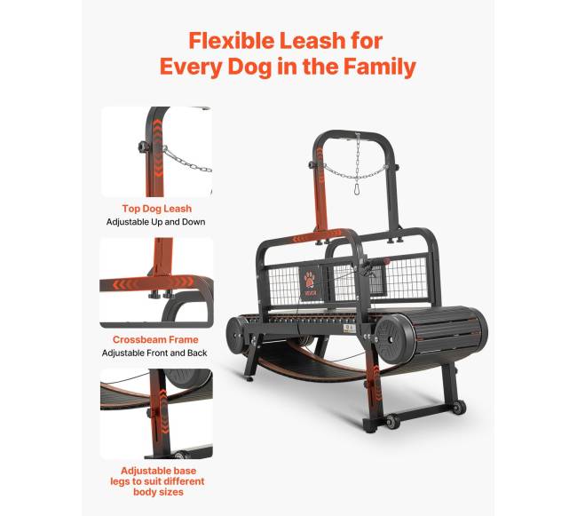 šunų bėgimo takelis dideliems ir vidutiniams šunims5