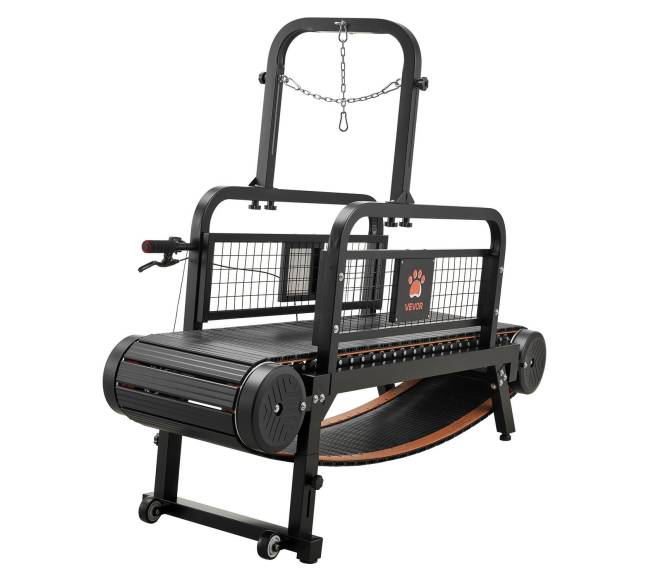 šunų bėgimo takelis dideliems ir vidutiniams šunims8