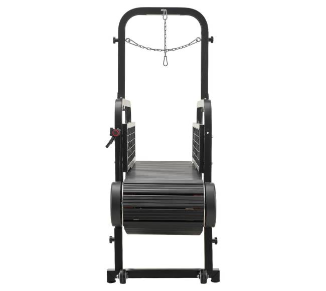 šunų bėgimo takelis dideliems ir vidutiniams šunims9