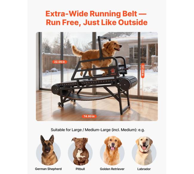 Šunų bėgimo takelis vidutiniamsdideliems šunims1