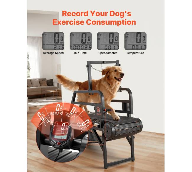 Šunų bėgimo takelis vidutiniamsdideliems šunims3