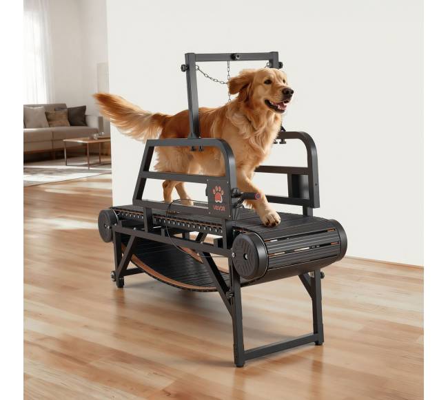 Šunų bėgimo takelis vidutiniamsdideliems šunims7