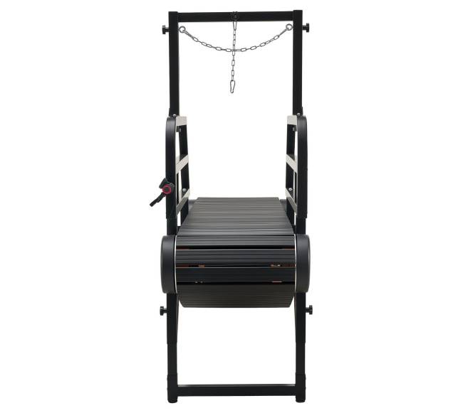 Šunų bėgimo takelis vidutiniamsdideliems šunims9