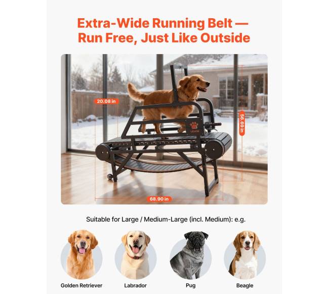 Šunų bėgimo takelis vidutiniams šunims1