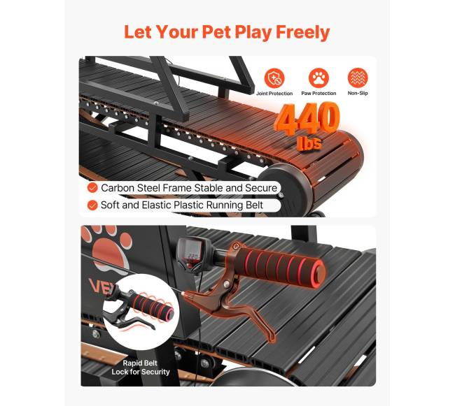 Šunų bėgimo takelis vidutiniams šunims2