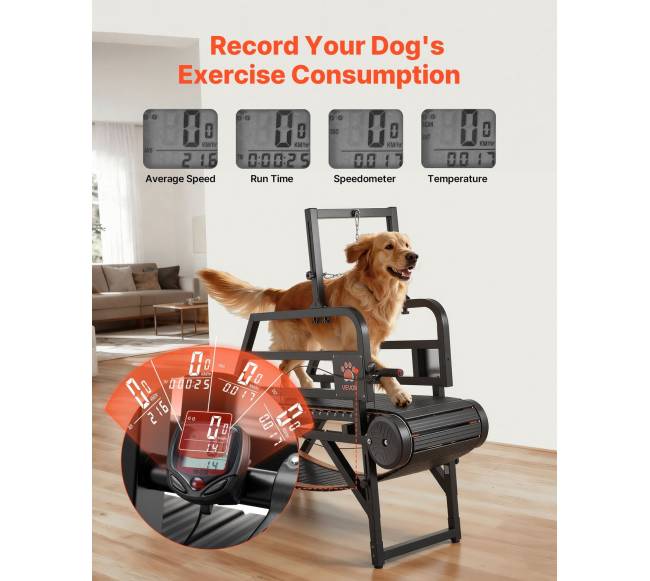 Šunų bėgimo takelis vidutiniams šunims3