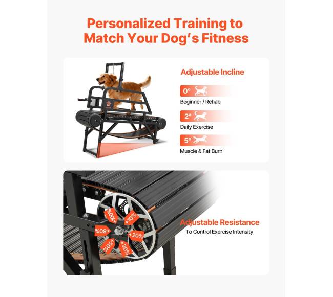 Šunų bėgimo takelis vidutiniams šunims4