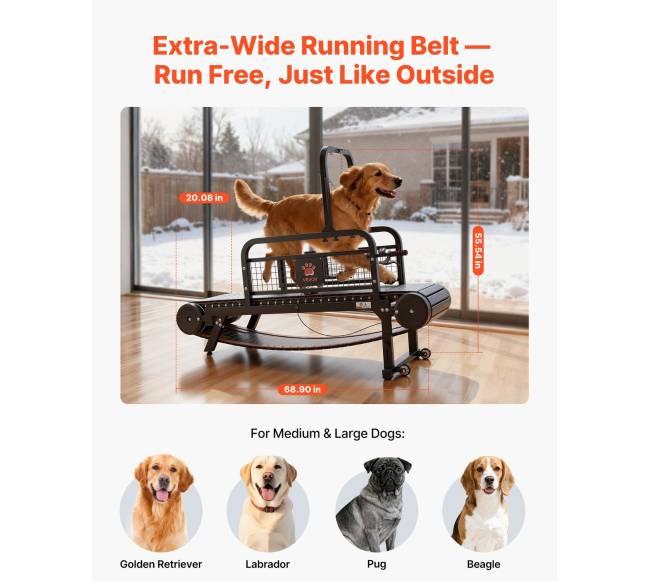 Šunų bėgtakis mažiems ir vidutiniams šunims1