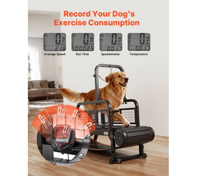 Šunų bėgtakis mažiems ir vidutiniams šunims3