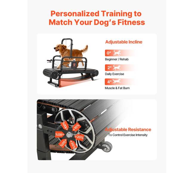 Šunų bėgtakis mažiems ir vidutiniams šunims4