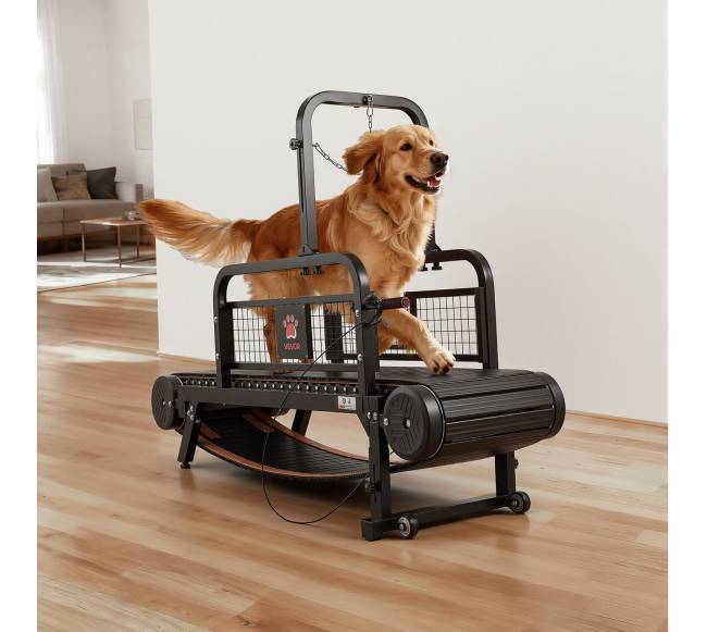 Šunų bėgtakis mažiems ir vidutiniams šunims7