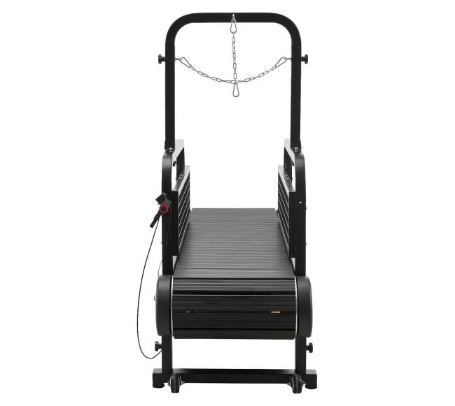 Šunų bėgtakis mažiems ir vidutiniams šunims9