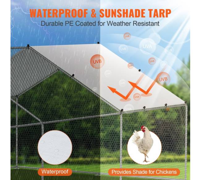 Didelis metalinis vištų namelis su aptvaru4