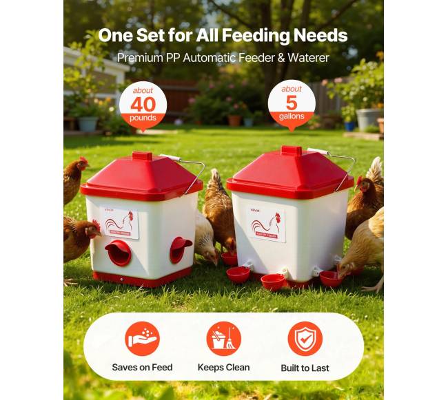 Automatinis vištų šėrimo ir girdymo komplektas2