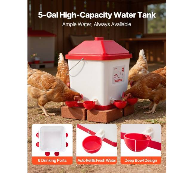 Automatinis vištų šėrimo ir girdymo komplektas3