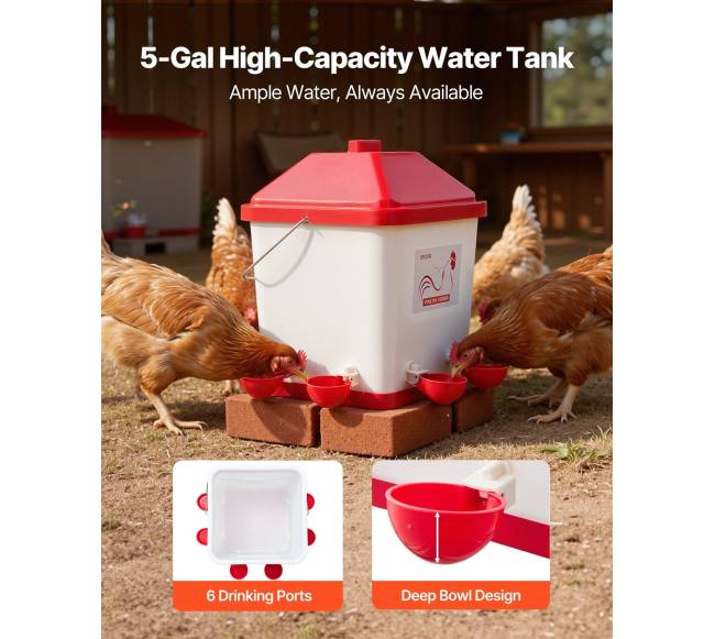 19 l automatinis vištų girdytuvas su 6 vandens taškais1