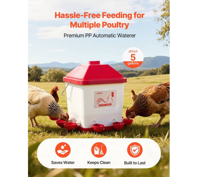 19 l automatinis vištų girdytuvas su 6 vandens taškais2