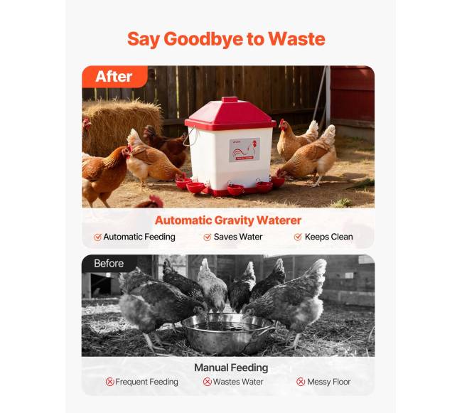 19 l automatinis vištų girdytuvas su 6 vandens taškais4