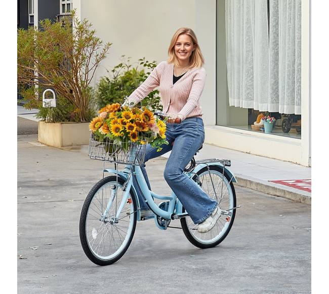 24 colių jūros dviratis su krepšiu7