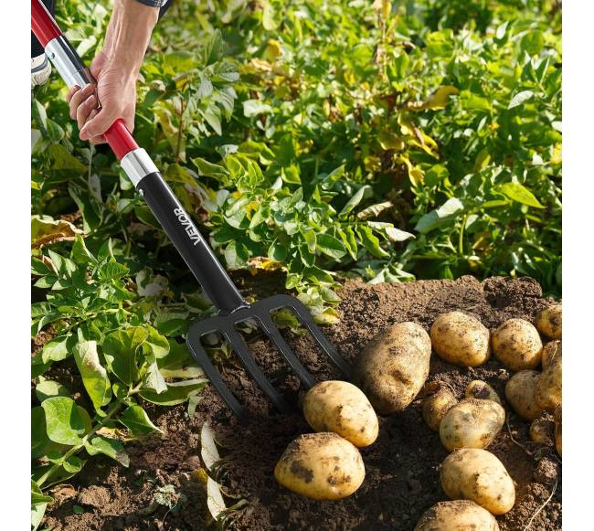 4 dantų sodo šakė su stiklo pluošto rankena7