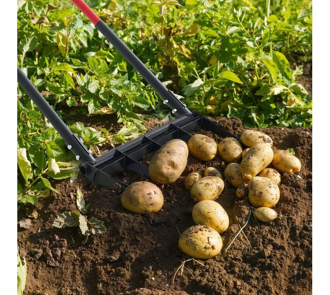 5 dantų plačiapjovė šakė sodui7