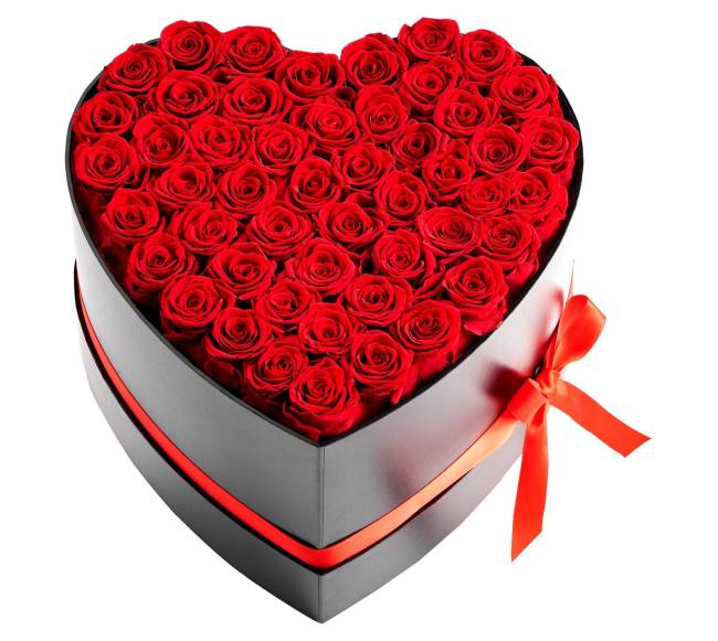 Amžinos gėlės: 50 konservuotų raudonų rožių širdelės formos dėžutėje8