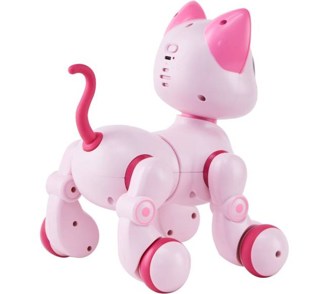 Kalbantis robotas - katė vaikams9