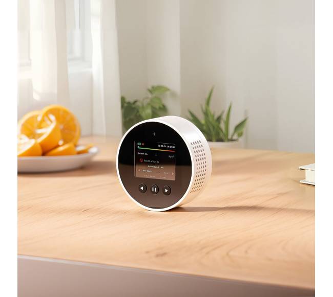 Radono detektorius namams7