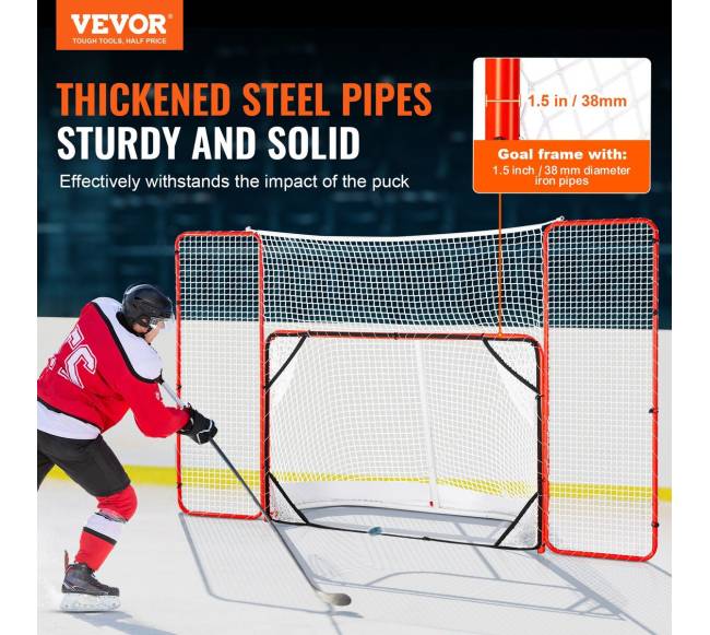 Lauko ledo ritulio vartai su tikslais1