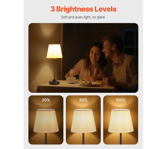 Belaidė stalinė lempa su įkraunama baterija1