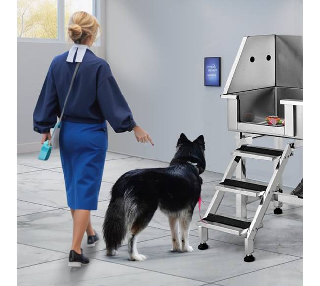 864mm nerūdijančio plieno šuns maudymo stotelė su rampa7