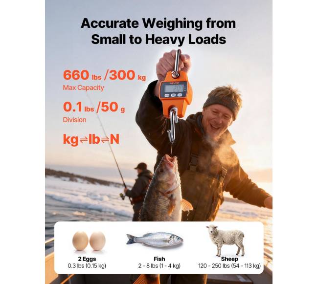 Skaitmeninės svarstyklės krano, iki 300 kg1