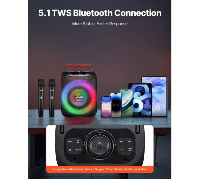 Nešiojama karaoke sistema su mikrofonais3