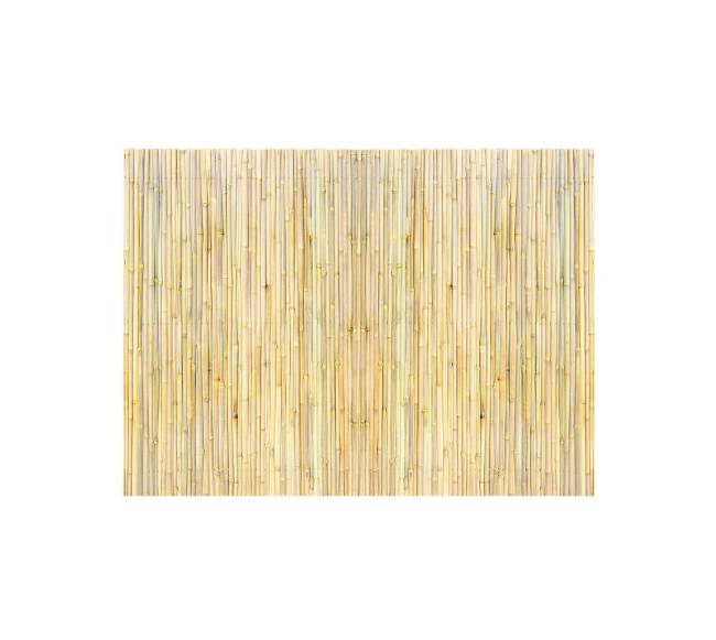 Bambukinė tvora, 182cm x 122cm0