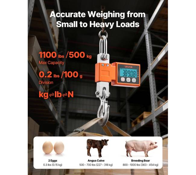 Skaitmeninės krano svarstyklės, 500 kg1