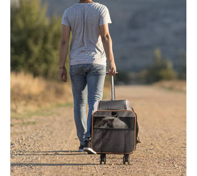 Katės vežimėlis su ratukais ir teleskopine rankena7