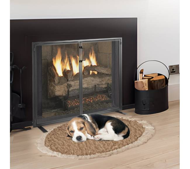 Židinio ekranas vienos dalies su durelėmis7