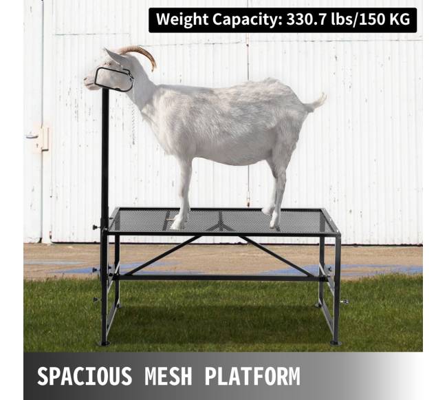 Gyvulių karčiavimo stovas su galvos laikikliu4