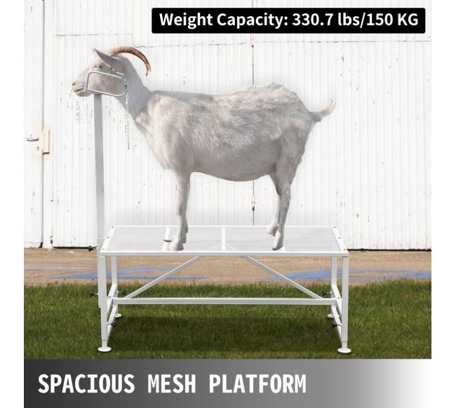 Gyvulių kirpimo stovas su galvos laikikliu4