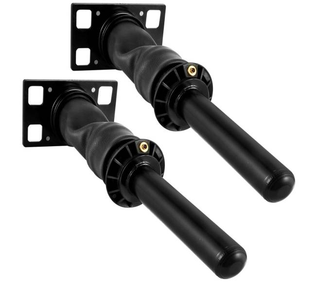 Galinės kabinos amortizatorius International Prostar 2008+0