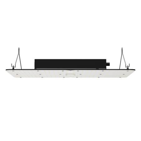 LED auginimo šviesa, 300W pilno spektro0