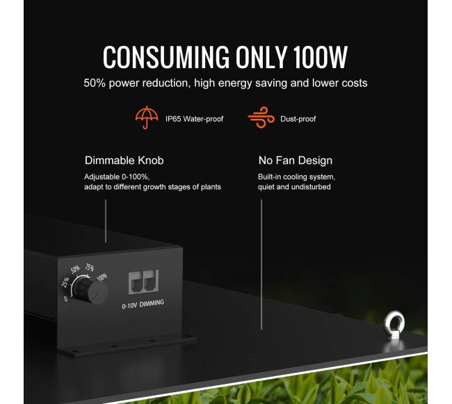 LED auginimo šviesa, 300W pilno spektro5