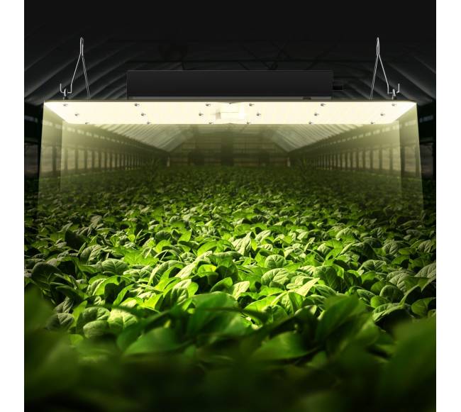 LED auginimo šviesa, 300W pilno spektro7