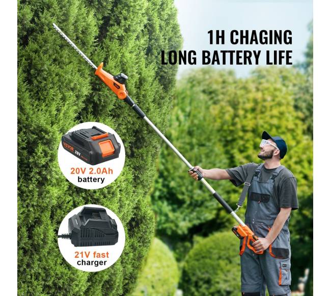 20V belaidis gyvatvorių žirklės su teleskopiniu kotu4