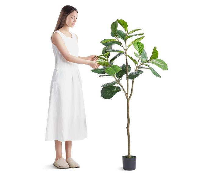 Dirbtinis fikusas 5 ft aukščio0