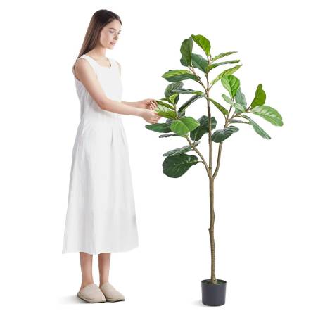 Dirbtinis fikusas 5 ft aukščio0