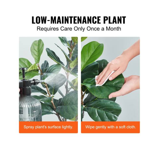 Dirbtinis fikusas 5 ft aukščio5