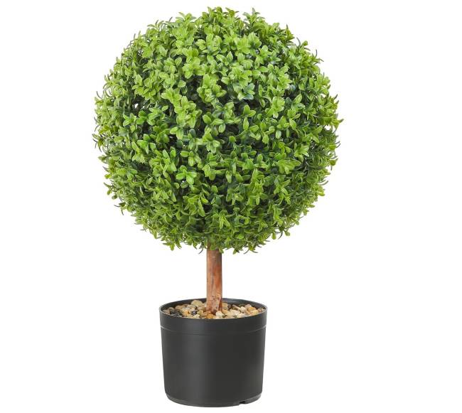 Dirbtiniai buksmedžio medeliai 61 cm, 2 vnt.9